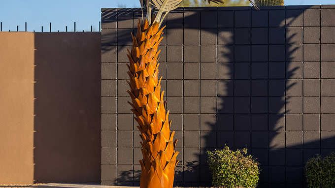 costco palm tree