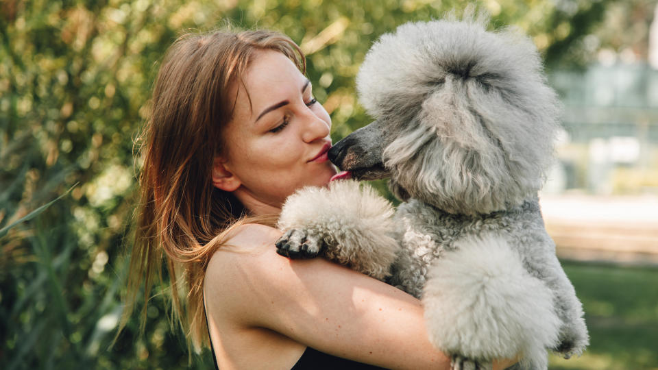 Girl hugging poodle