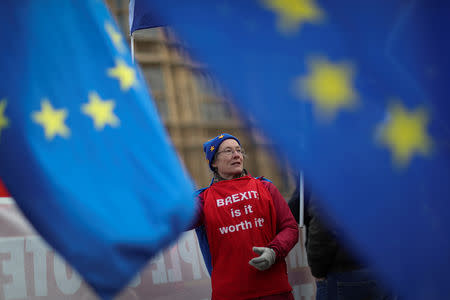 FILE PHOTO: An anti-Brexit protester waves a flag outside the Houses of Parliament in London, Britain January 11, 2019. REUTERS/Simon Dawson/File Photo