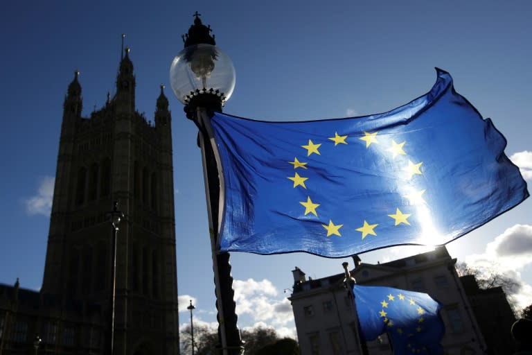 Several questions remain over the future relationship between Britain and the EU