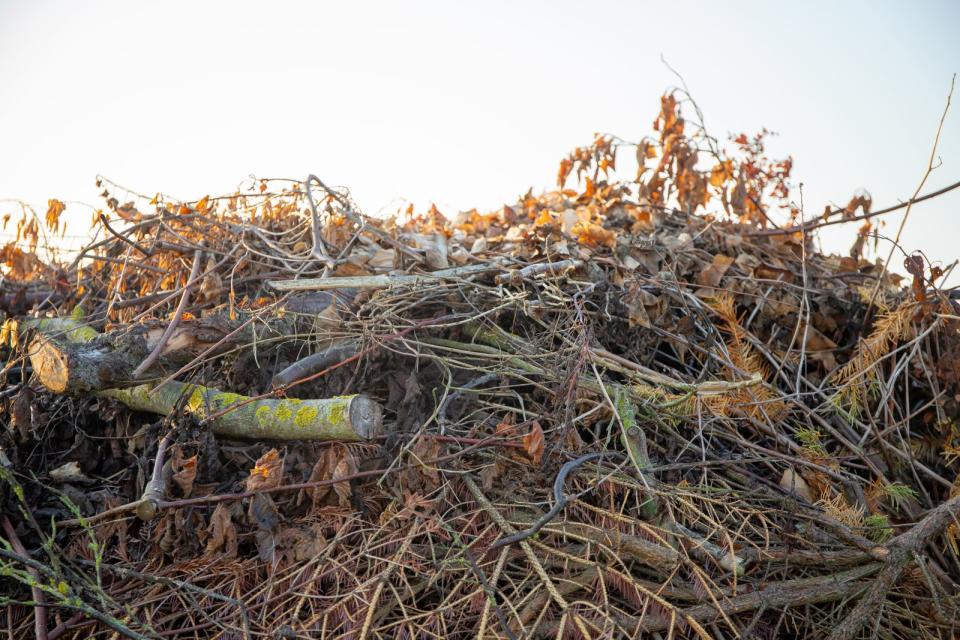 <p>Wer es besonders gut meint, richtet im Herbst Haufen aus Reisig oder Laub für den Igel an, in denen er es im Winter kuschelig haben kann, und lässt diese bis zum Frühjahr stehen und liegen. (Bild: iStock/Patrick Friedrichs)</p> 