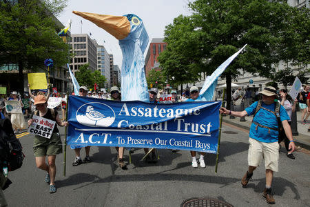 Protesters carry giant puppet of a great blue heron during the Peoples Climate March near the White House in Washington, U.S., April 29, 2017. REUTERS/Joshua Roberts