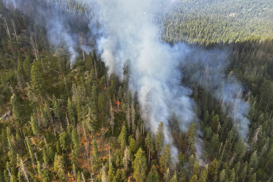 In this image released by the National Park Service, smoke rises from the Washburn Fire near the lower portion of the Mariposa Grove in Yosemite National Park, Calif., Friday, July 8, 2022. Part of Yosemite National Park has been closed as a wildfire quintupled in size near a grove of California's famous giant sequoia trees, officials said. (National Park Service via AP)