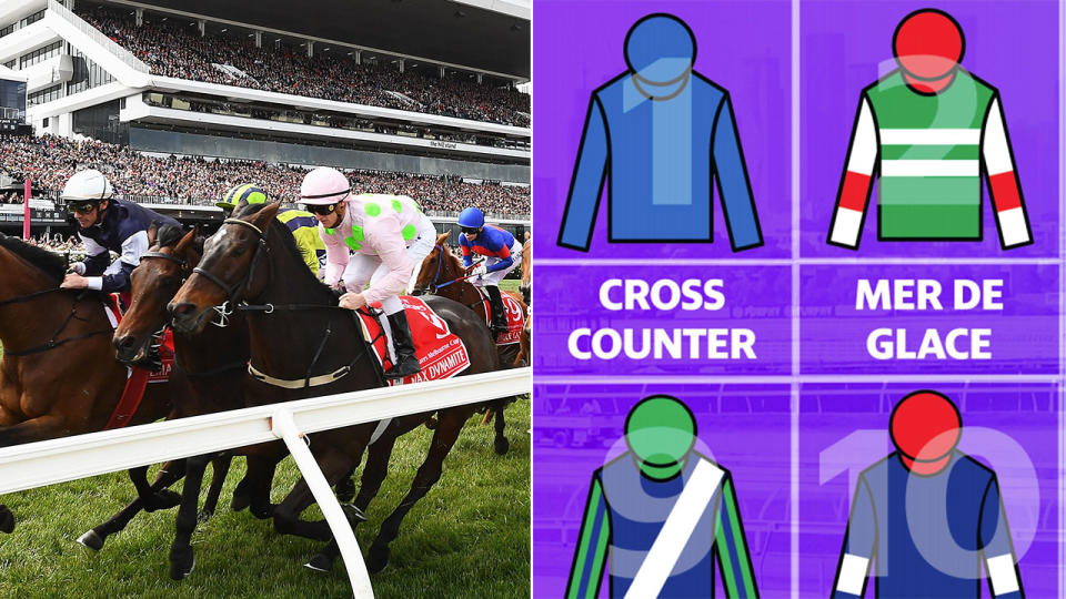 Yahoo Sport has your 2019 Melbourne Cup sweep needs covered with this handy guide.