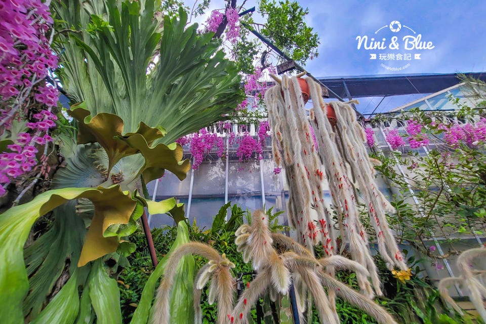 台中后里｜萌芳花卉農場