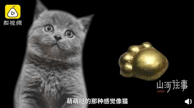 山西北白鵝墓地近日出土5件貓爪金飾，被外界稱為「最萌文物」。（圖／翻攝自梨視頻）