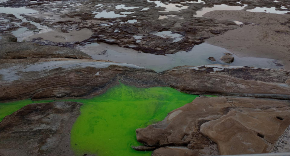 Green water Cronulla Sydney