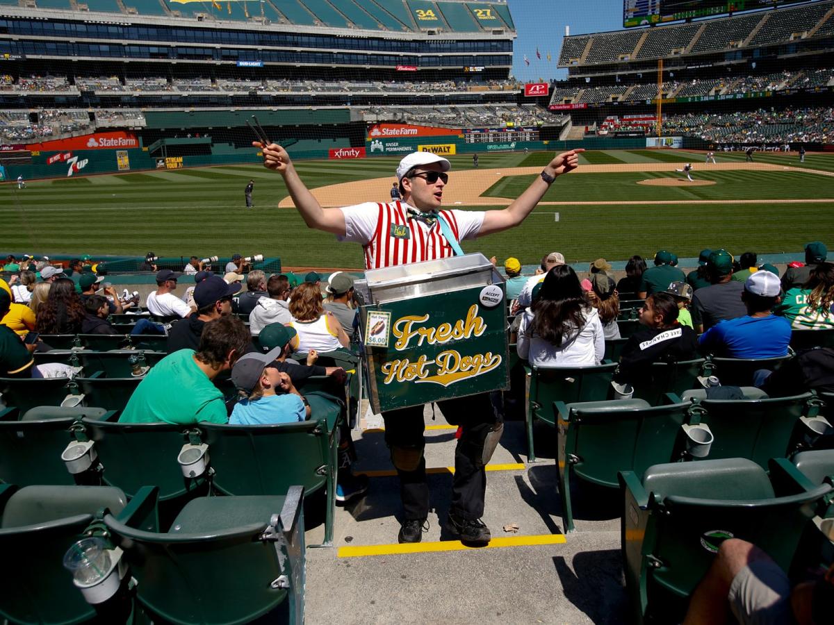 hot dog vendor at baseball game