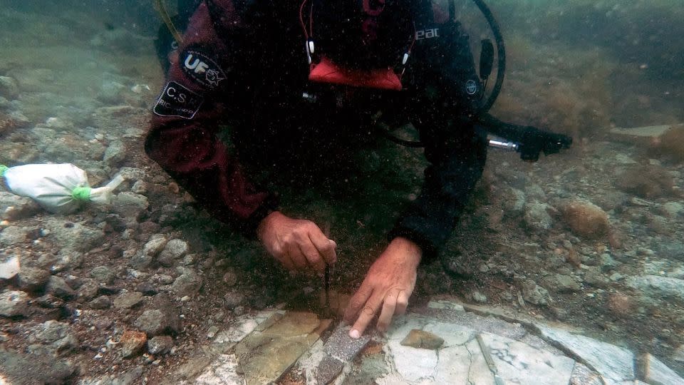 A diver works on the submerged mosaic floor.  - Campi Flegrei Archaeological Park