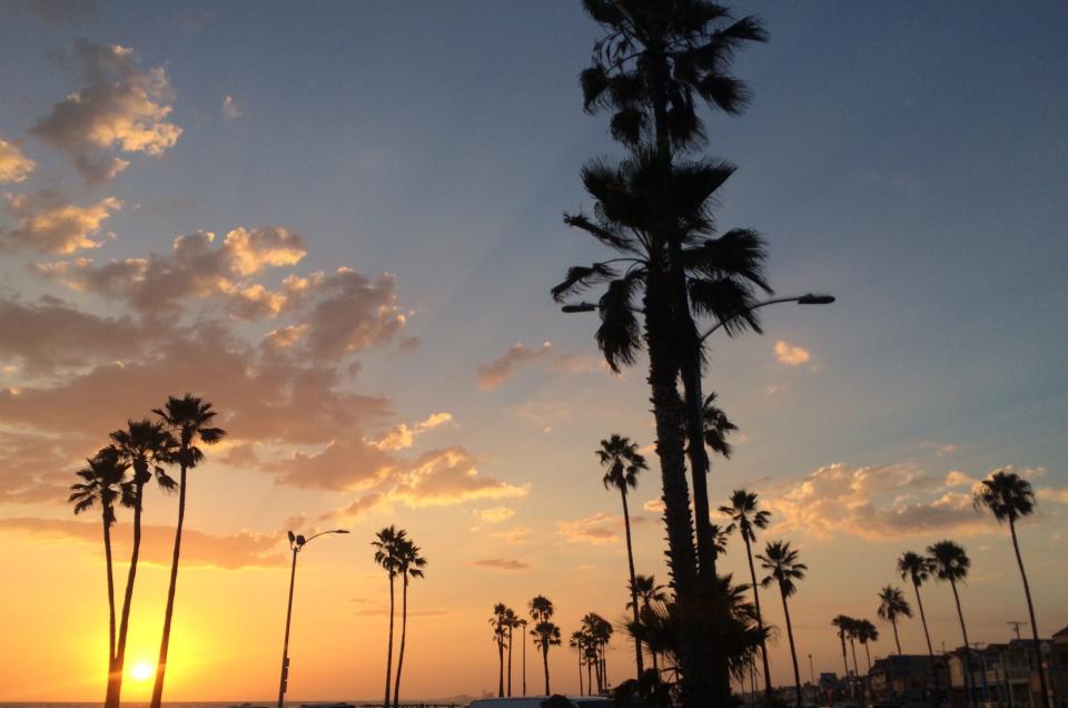 Sunset and palm trees.