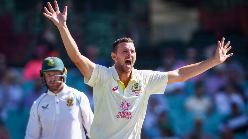 Seen here, Aussie cricket star Josh Hazlewood in a Test match for Australia.