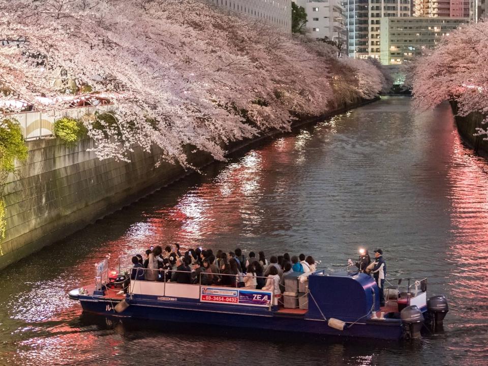 日本櫻花2024｜東京賞櫻10大必去景點一日遊推薦！每人低至$233起 淺間公園櫻花樹下富士山、目黑川遊船體驗