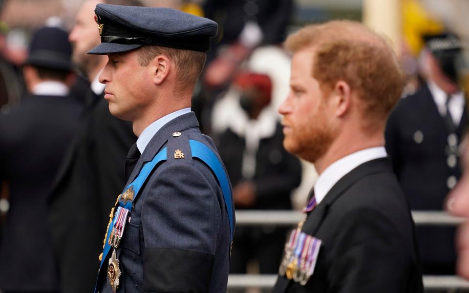 Prince William and Prince Harry - Alberto Pezzali