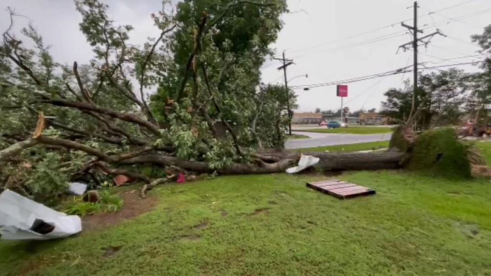 PHOTO: A tree was toppled over by severe weather in Sulphur, La., on Monday, May 13, 2024. (KPLC)