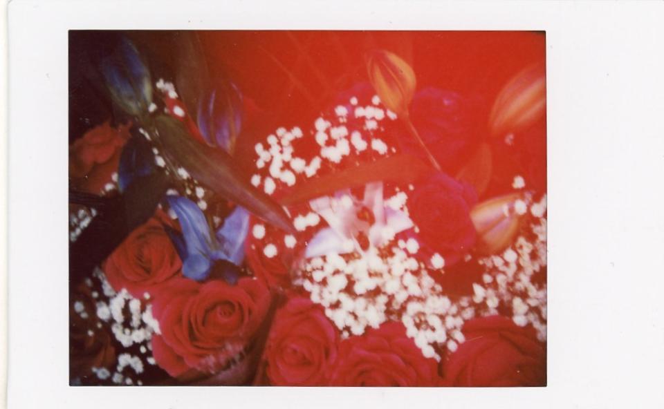 A photograph of red and white flowers taken on the Fujifilm Instax mini 99 using the light leak filter.