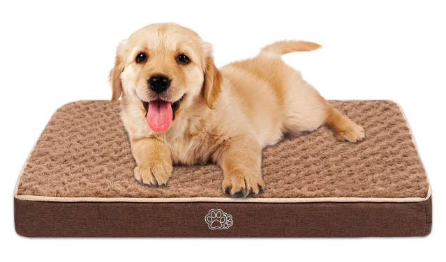 Organic Dog Bed by Avocado - Large/ X-Large - Mailman Blue