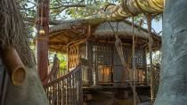 <p> It’s been more than 60 years since Disney released its version of Swiss Family Robinson, but the Swiss Family Treehouse still stands in Magic Kingdom’s Adventureland. The Disneyland version of the treehouse was rethemed to Disney’s Tarzan in the 90s, but the Magic Kingdom version has thus far avoided such a fate.   </p>