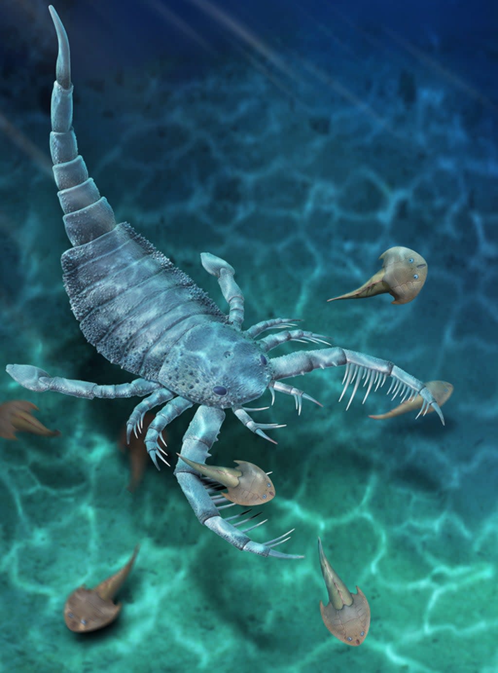 A reconstruction of the ‘Terropterus xiushanensis’ sea scorpion (Nanjing Institute of Geology and Palaeontology)