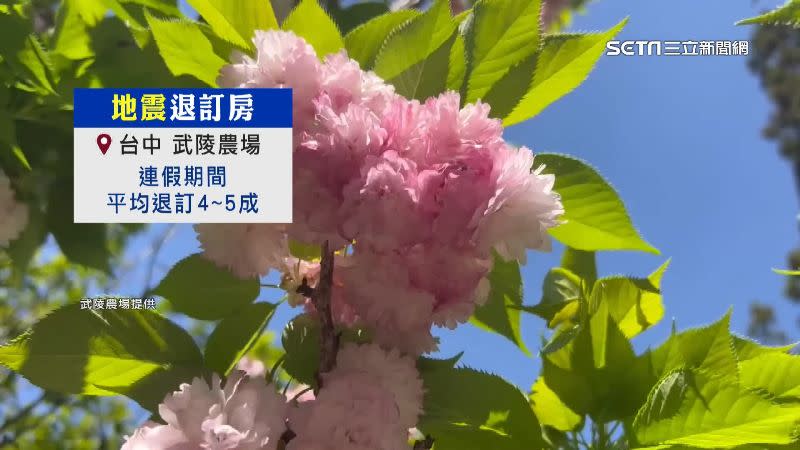 台中武陵農場連假期間平均退訂4~5成。（圖／武陵農場提供）