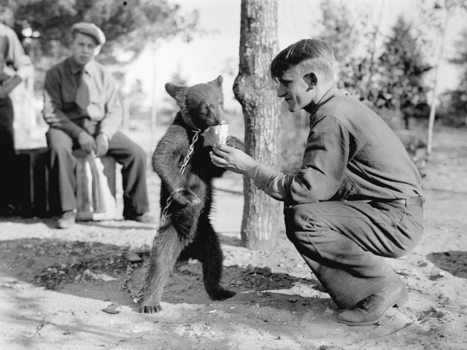 A black and white photo of a man feeding ice cream to a bear cub.