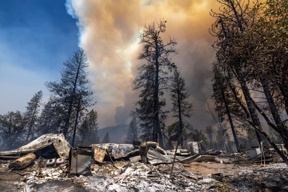 Destroyed property near charred trees and smoke