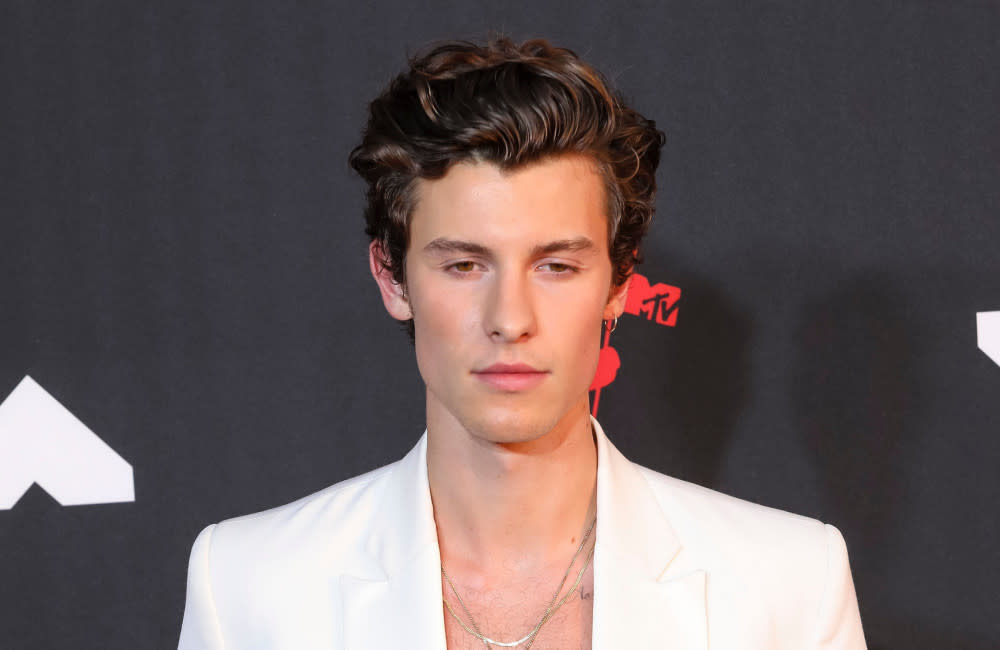 Shawn Mendes is having a 'hard time' with social media credit:Bang Showbiz