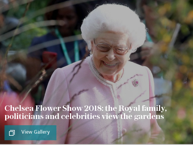 Chelsea Flower Show 2018: the Royal family, politicians and celebrities view the gardens