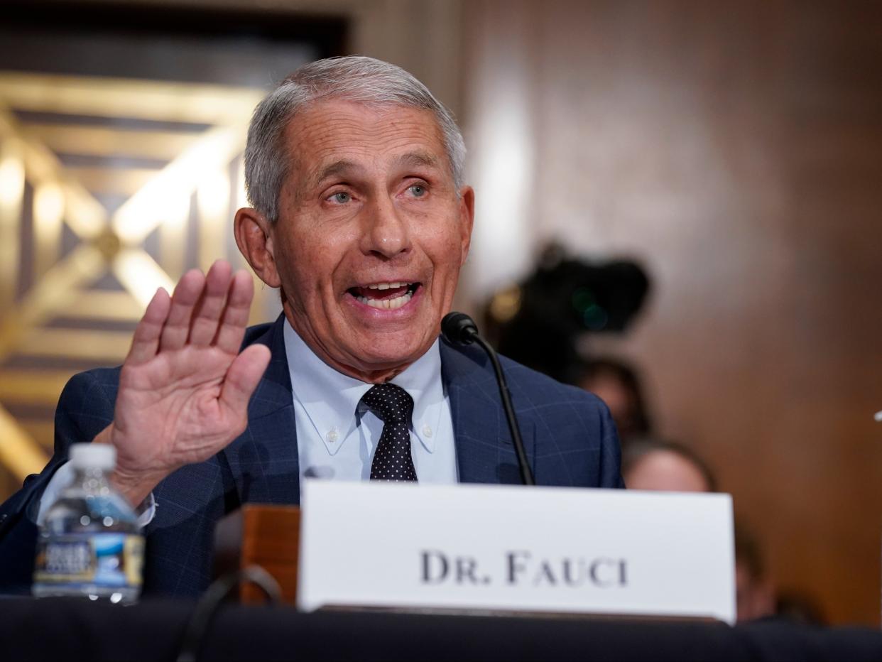 Dr Fauci (Getty Images)