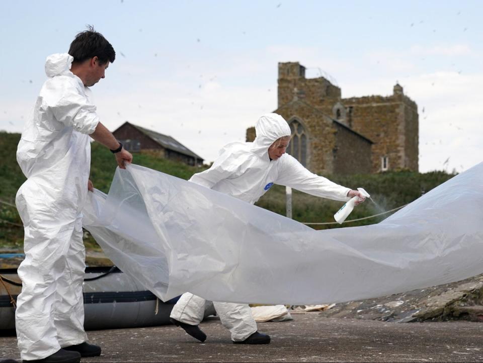 The National Trust team of rangers clear deceased birds from Staple Island (PA)