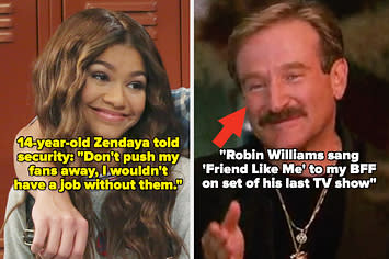 Zendaya in "K.C. Undercover;" Robin Williams in "The Birdcage"