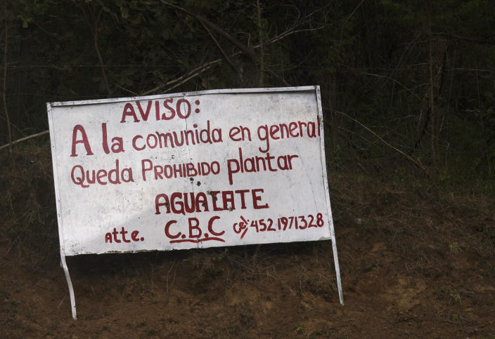 A sign with a hand painted message that reads in Spanish: "Warning to the community, avocado planting is prohibited," stands at the entrance to the Indigenous township of Cheran, Michoacan state, Mexico, Thursday, Jan. 20, 2022. Regular citizens have taken the fight against illegal logging into their own hands in the pine-covered mountains of western Mexico. Over the last decade they have seen illegal logging clear the hillsides for plantations of water hungry avocado trees. (AP Photo/Fernando Llano)