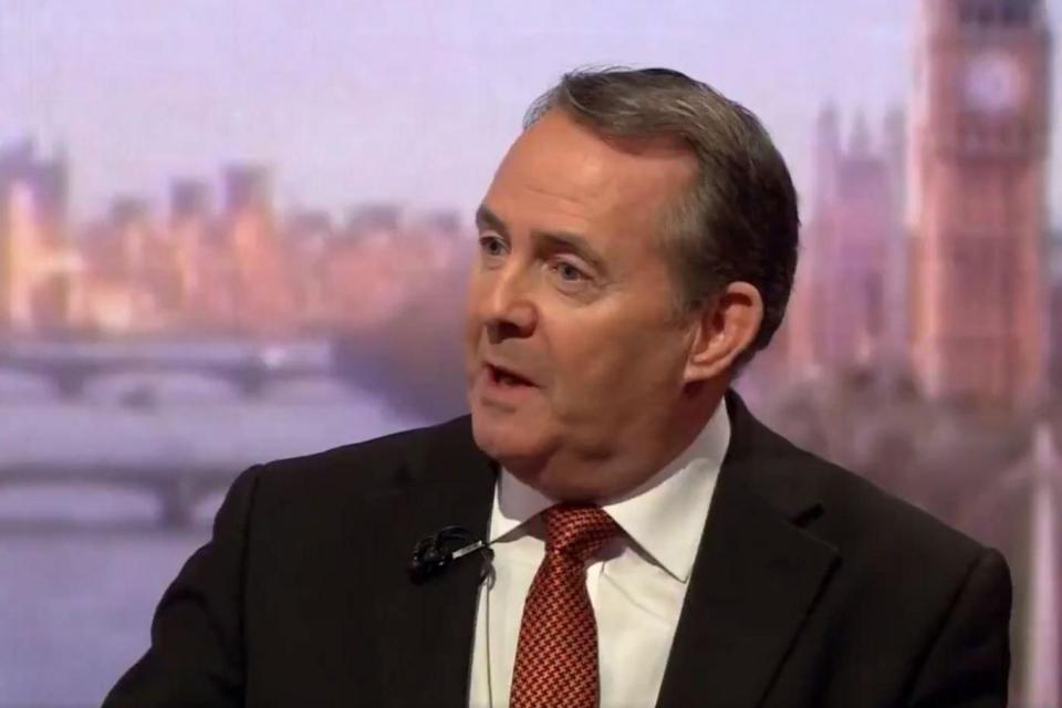 International Trade Secretary Liam Fox appeared on the BBC's Andrew Marr show on Sunday (BBC)