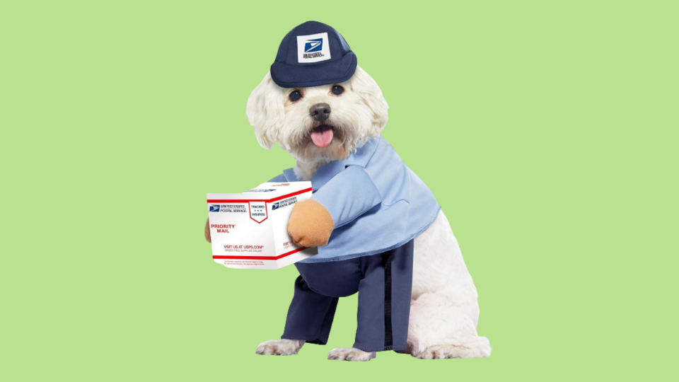 Popular Dog Costumes: California Costume Collections Dog Mail Carrier Costume