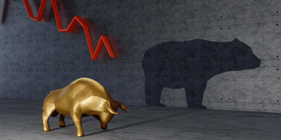Illustration of Wall Street bull and bear