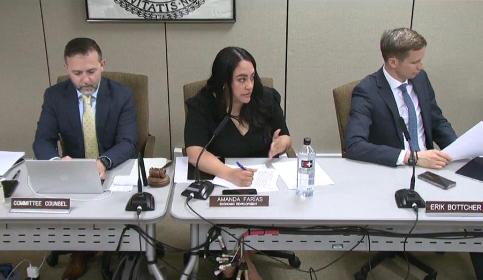 NY City Councilwoman Amanda Farias speaks during an Economic Development Committee hearing on April 16, 2024.