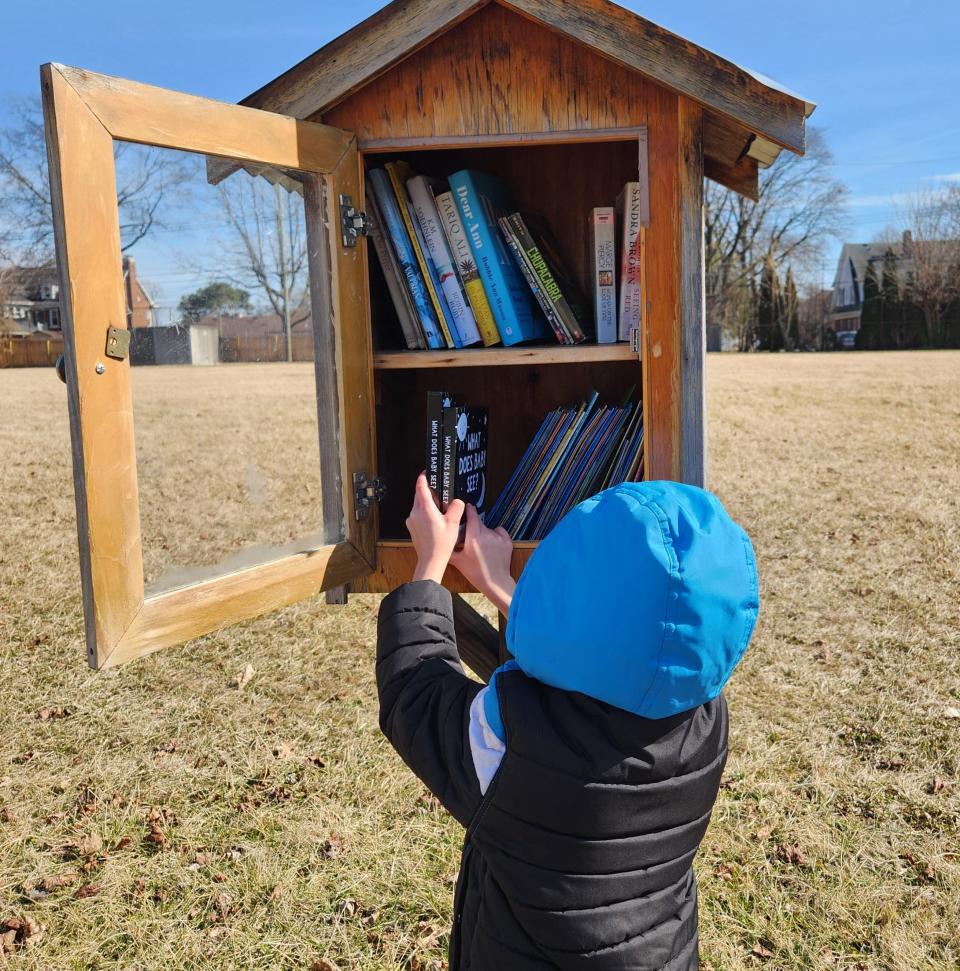 According to Jen Hay, Great Start Collaborative family liaison, there are 42 free little libraries across the Monroe County.