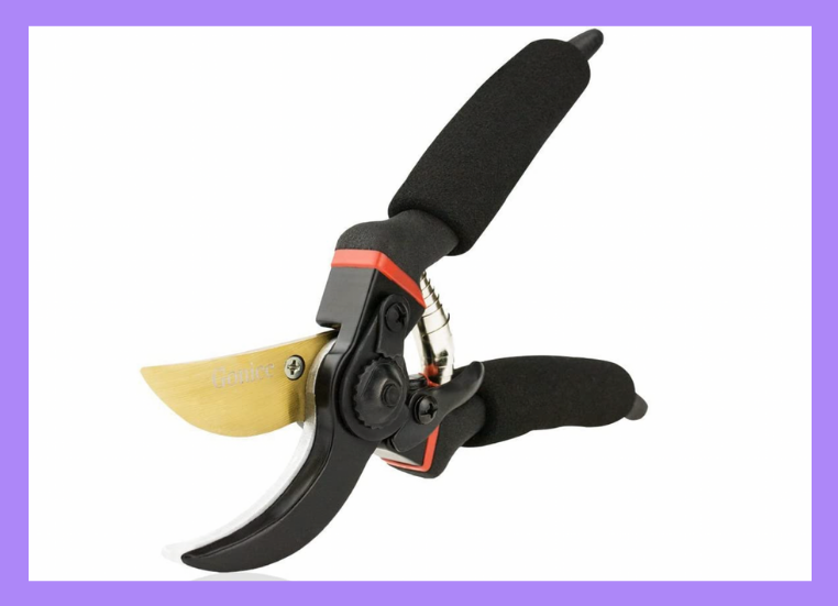 pruning shears