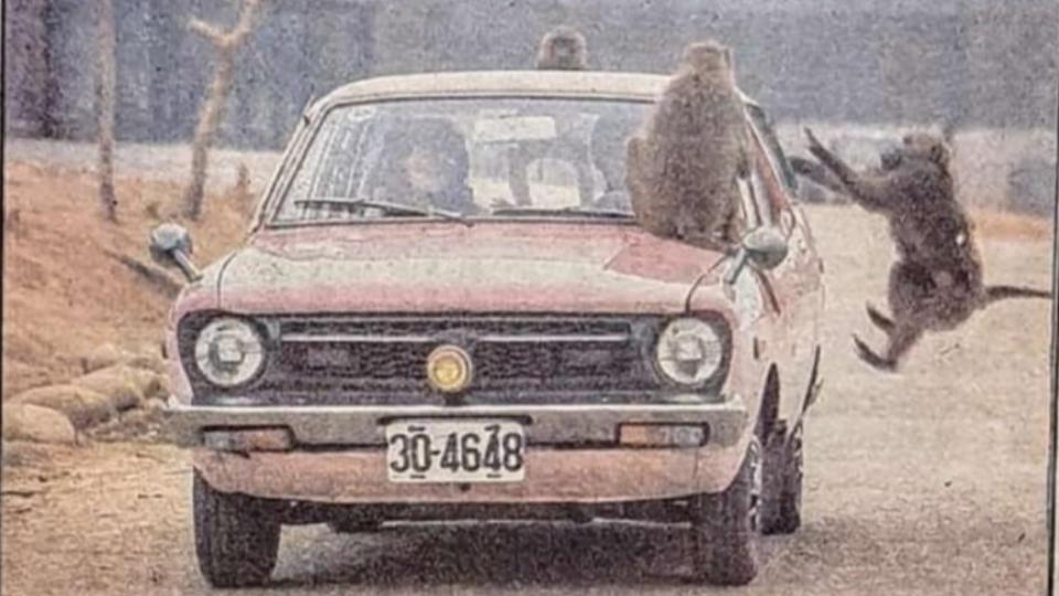 網友懷念過去六福村能開車遊園，近距離接觸野生動物。（圖／翻攝自臉書社團「復刻舊時光」）