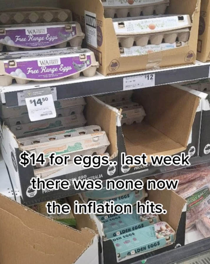 The shocked Woolworths customer posted a TikTok of the pricey eggs. Source: TikTok/ stephyoung77