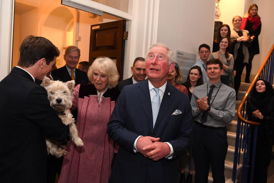 Britain's Prince Charles, Prince of Wales and Britain's Camilla, Duchess of Cornwall meet Monty the dog during a tour of the Cabinet Office in central London on February 13, 2020. - Their Royal Highnesses toured the Cabinet Office building to recognise the work it undertakes on behalf of the government. The Cabinet Office supports the Prime Minister and ensure the effective running of government. It is also the corporate headquarters for government, in partnership with HM Treasury, and takes the lead in certain critical policy areas. (Photo by DANIEL LEAL-OLIVAS / various sources / AFP) (Photo by DANIEL LEAL-OLIVAS/AFP via Getty Images)