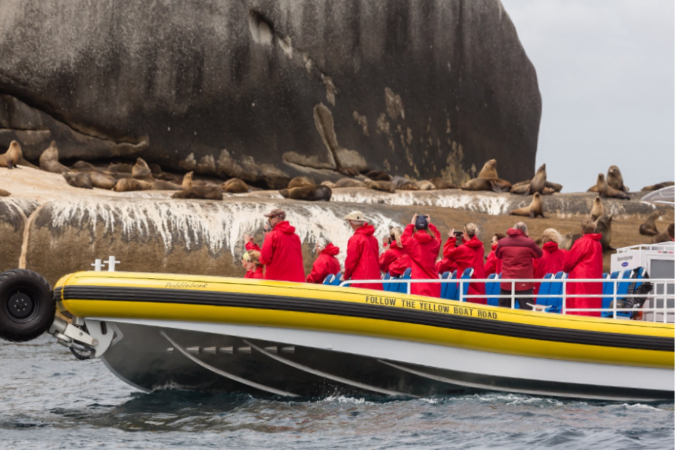 Wildlife cruise around imposing Skull Rock