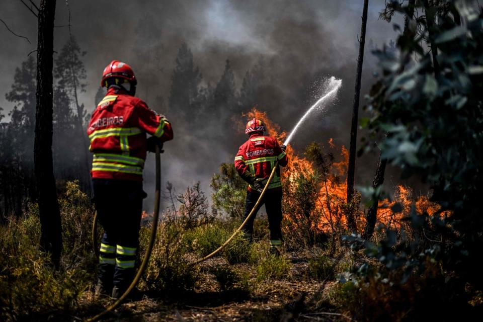 Firefighters battle a wildfire in Carrascal, Proenca a Nova (AFP via Getty Images)