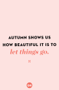 <p>Autumn shows us how beautiful it is to let things go.</p>