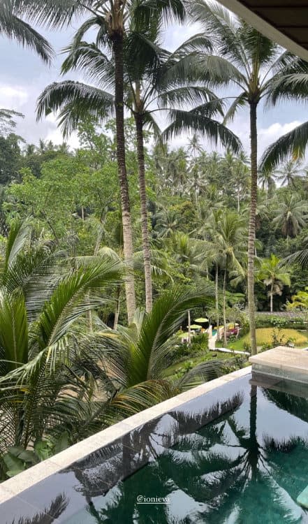 Vistas del hotel de Tamara Falcó e Iñigo en Bali 