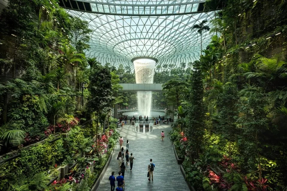 La joya Changi del aeropuerto de Singapur, con una cascada interior de vórtice de lluvia de altura récord, un bosque tropical vertical y un centro comercial bajo una cúpula de cristal. (Forbes)