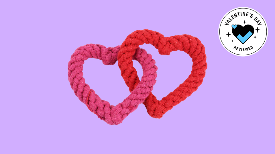 Best gifts to give your pet for Valentine's Day: Heart rope toy