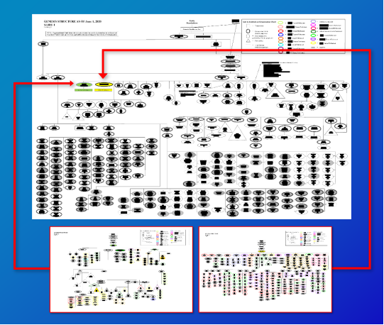 A corporate organization chart of Genesis Health provided to Congress showing more than 700 discrete entities. Critics say the byzantine structure can help companies skirt regulations and only serve to confuse consumers.