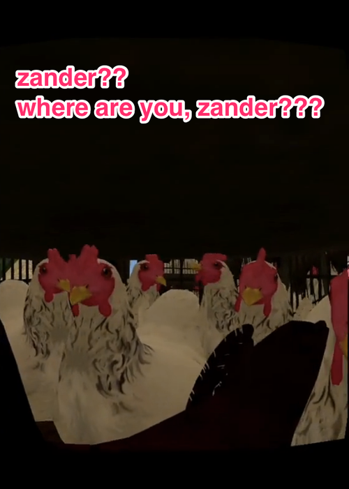 Image from 'I, Chicken' simulator