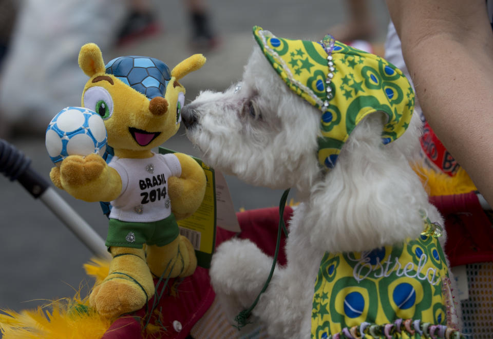 Un perro participa en el Blocao, el carnaval de perros en Río de Janeiro, Brasil, el domingo 16 de febrero de 2014. (Foto AP/Silvia Izquierdo)