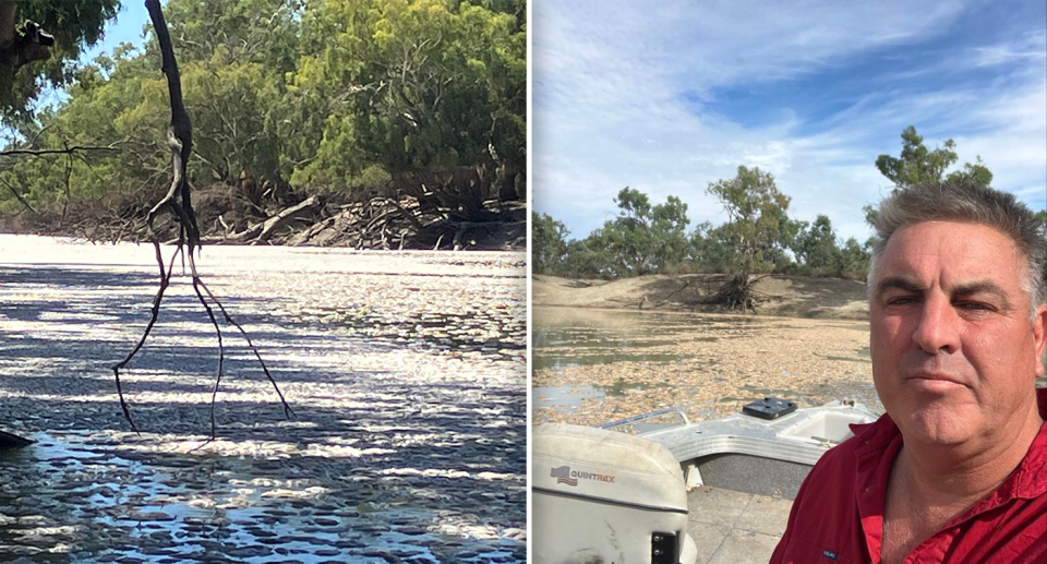 Left - Millions of dead fish in the Darling River. Right - Menindee local Graeme McCrabb on a boat with dead fish in the background.